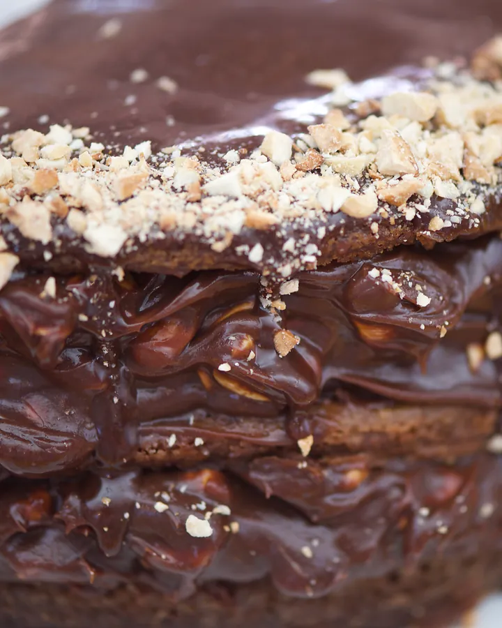 Layered chocolate cashew nut cake topped with chopped cashews